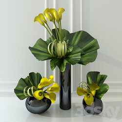 Calla lily yellow 3D Models 