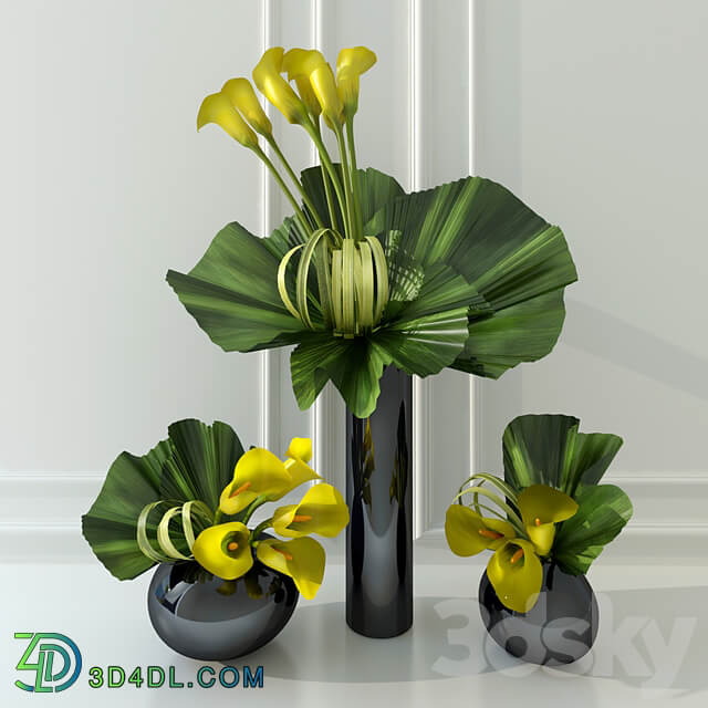 Calla lily yellow 3D Models