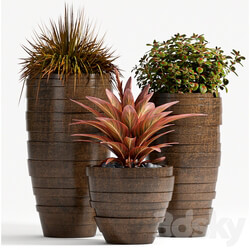 PLANT SET 72 3D Models 