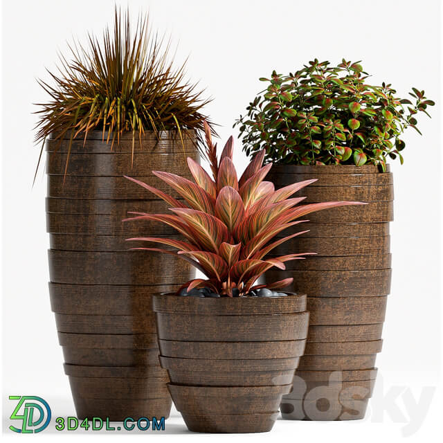 PLANT SET 72 3D Models