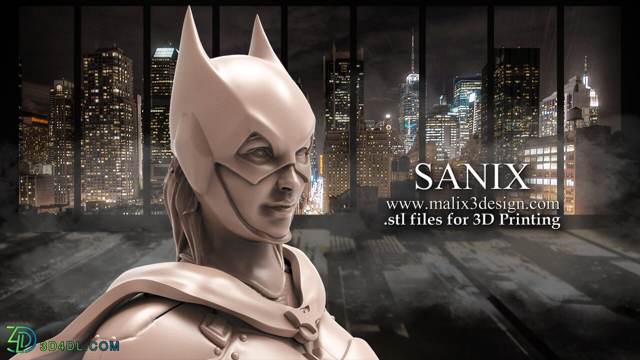 Cubebrush Sanix Batgirl