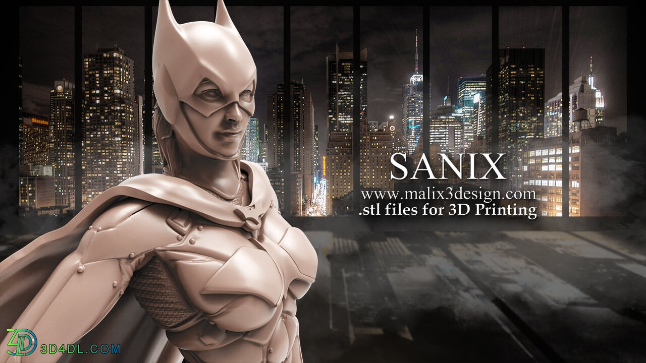 Cubebrush Sanix Batgirl