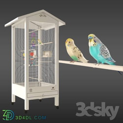 Budgies 