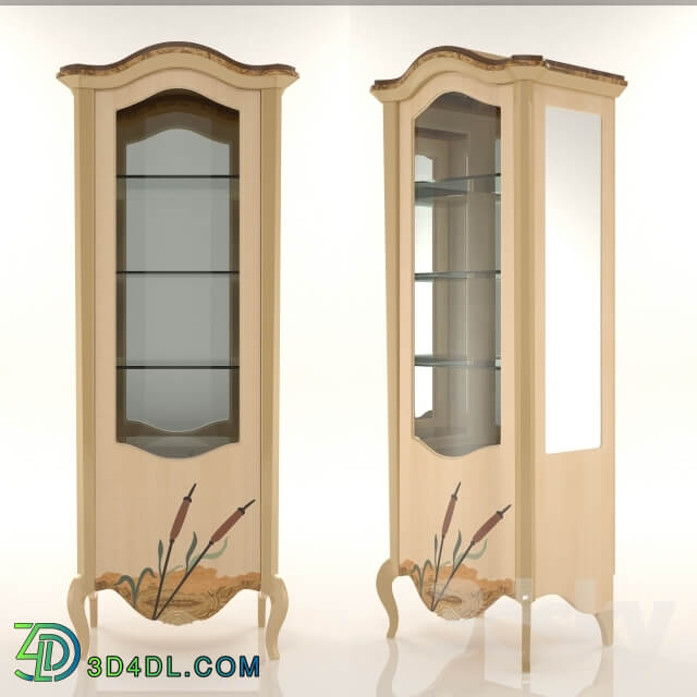 Wardrobe Display cabinets Showcase 1 door