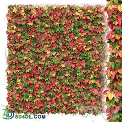 Decorative wall of autumn leaves of grapes 3D Models 