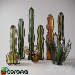 Glass cacti and succulents 