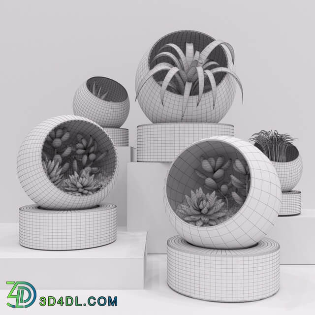 Florarium 3D Models