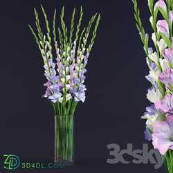 gladiolus bouquet in glass vase 