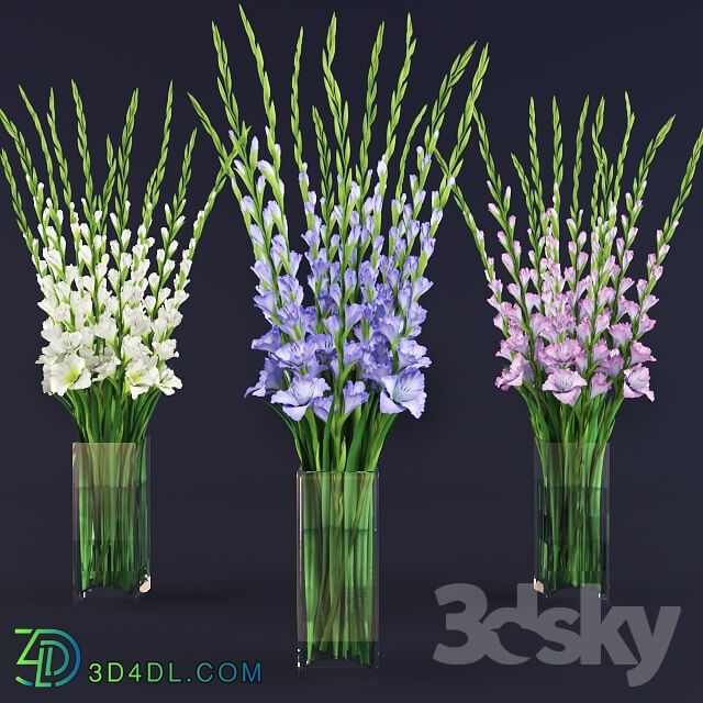 gladiolus bouquet in glass vase