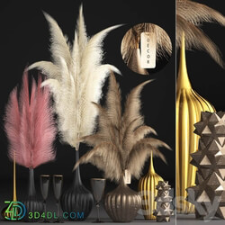 Bouquet of dried flowers 73. Pampas grass dried flower vase Kartaderia reeds set natural decor table decoration eco decor set 3D Models 