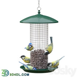 Great Tits and Blue Tits at bird feeder 