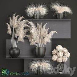 A bouquet of dried flowers 91. White Pampas grass branches vase reeds dried flowers dry decor black shelf loft metal 3D Models 