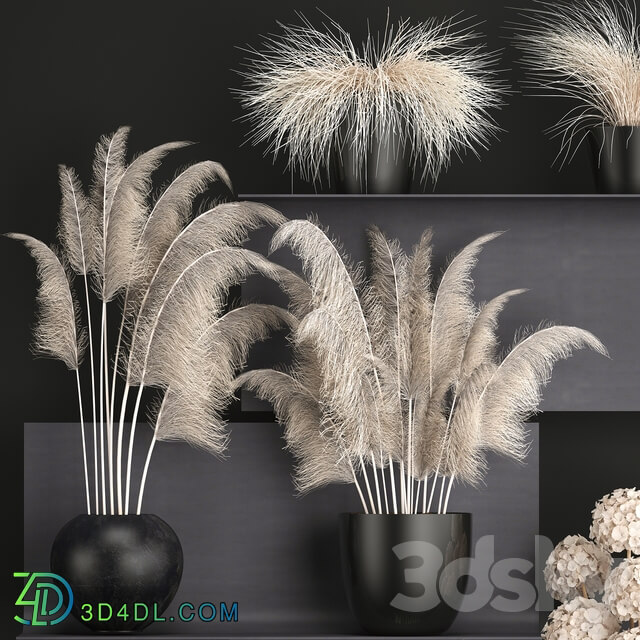 A bouquet of dried flowers 91. White Pampas grass branches vase reeds dried flowers dry decor black shelf loft metal 3D Models