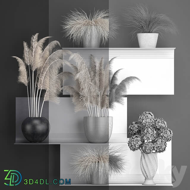 A bouquet of dried flowers 91. White Pampas grass branches vase reeds dried flowers dry decor black shelf loft metal 3D Models