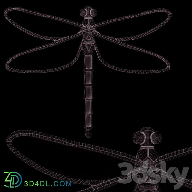 Other decorative objects Wall Decoration Dragonfly Mirror