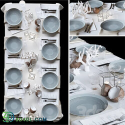 Table setting with collectible crockery candles and marine style corals 3D Models 