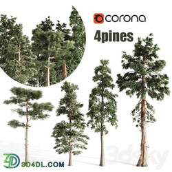 4 pines 