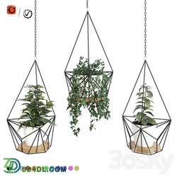 Plants in hanging planters ARCHPOLE Shuttle2 