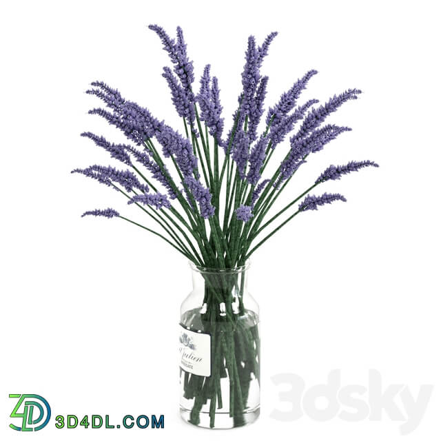 Lavender bouquet