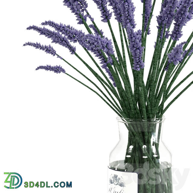 Lavender bouquet