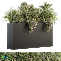 Outdoor Plants tree in Plant box Set 124 