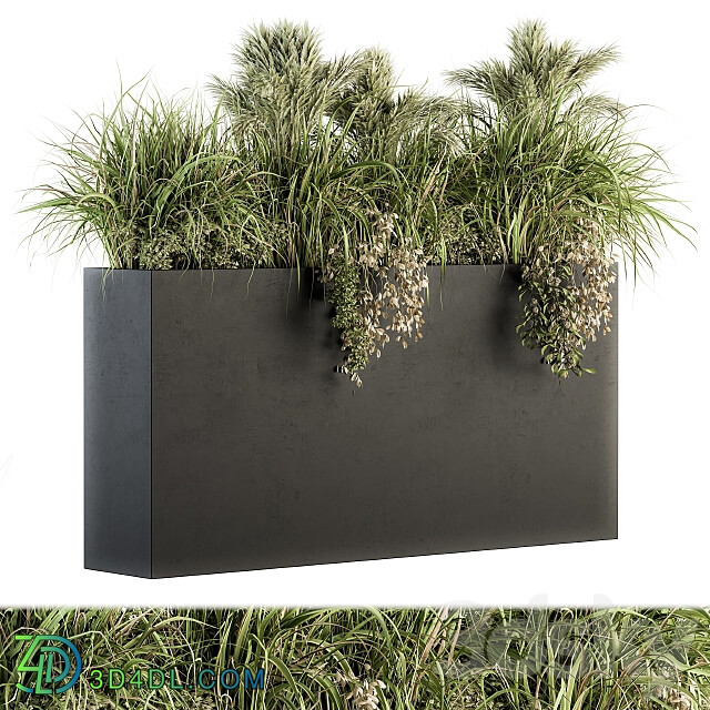 Outdoor Plants tree in Plant box Set 124