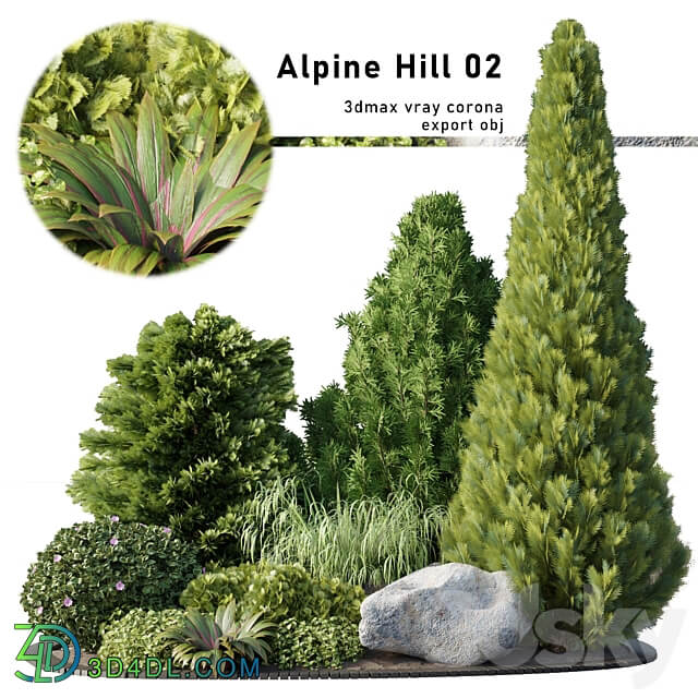 Alpine Hill 02