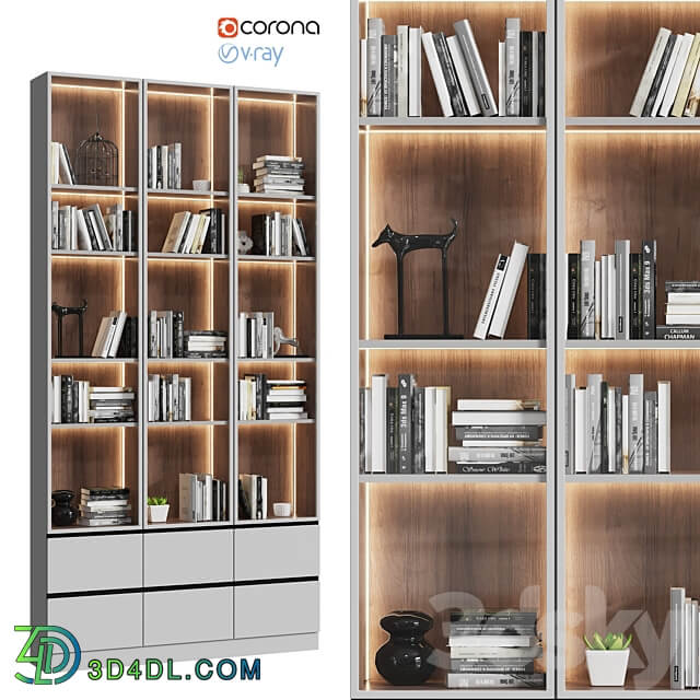 Wardrobe Display cabinets Showcase cabinet with books