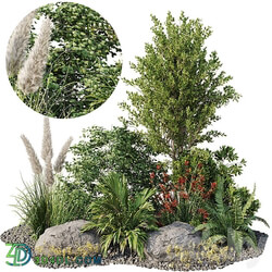 Garden plant set 08 3D Models 