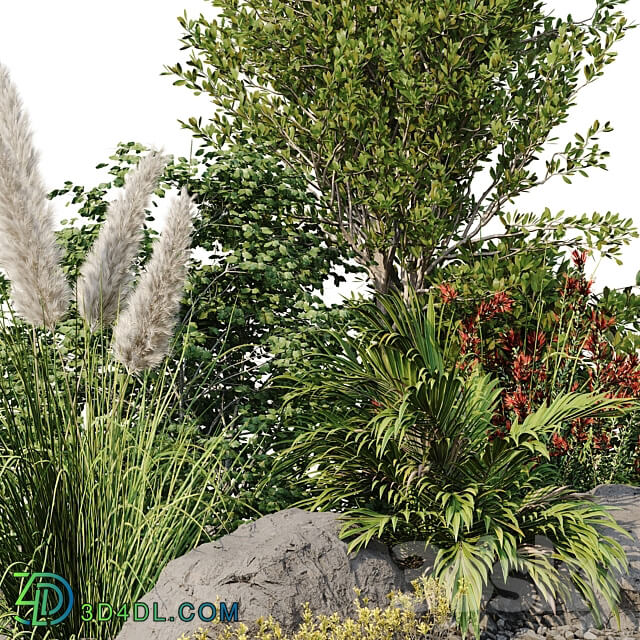 Garden plant set 08 3D Models