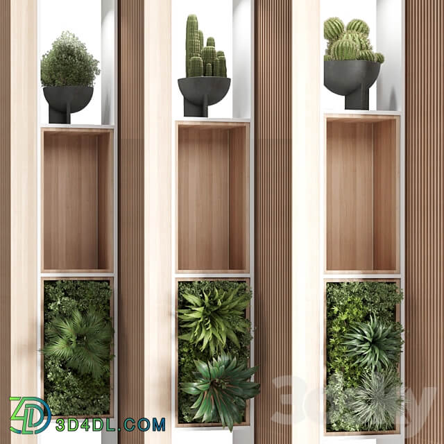 Wooden Partition With Plant 01 3D Models