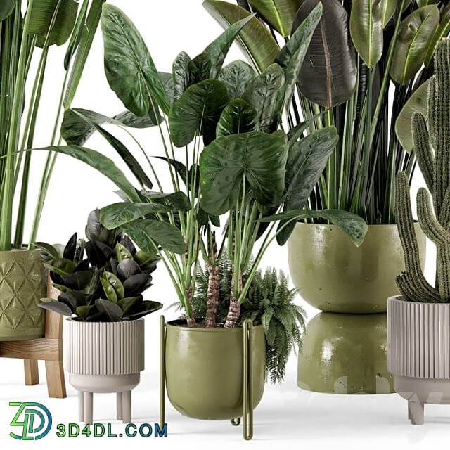 Indoor Plants in Standing Legs Small Bowl Concrete Pot Set 563 3D Models