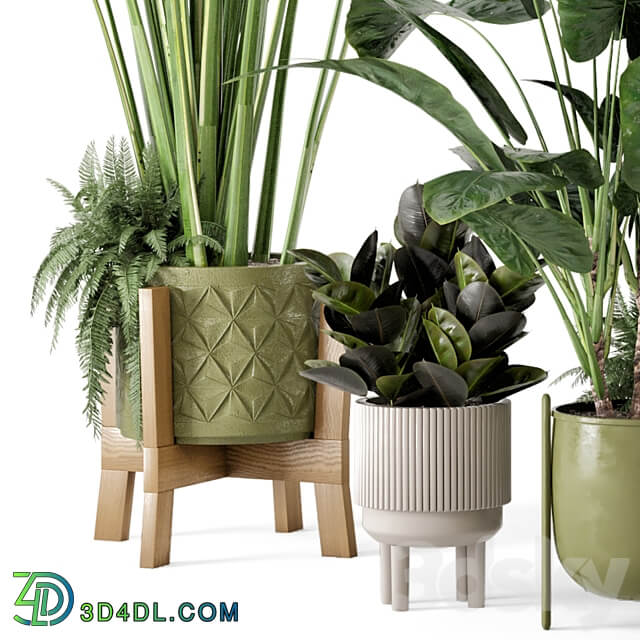 Indoor Plants in Standing Legs Small Bowl Concrete Pot Set 563 3D Models