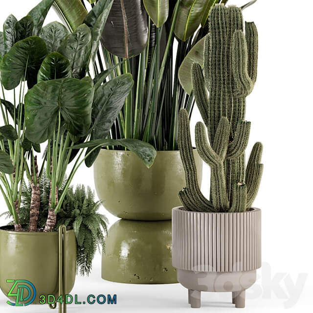 Indoor Plants in Standing Legs Small Bowl Concrete Pot Set 563 3D Models