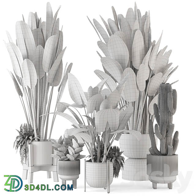 Indoor Plants in Standing Legs Small Bowl Concrete Pot Set 563 3D Models