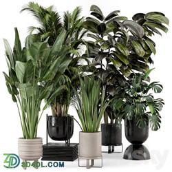 Indoor Plants in Ferm Living Bau Pot Large Set 572 3D Models 