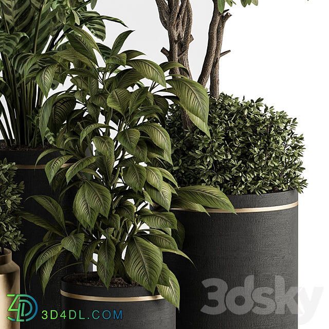 indoor Plant Set 378 Tree and Plant Set in pot 3D Models