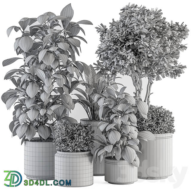 indoor Plant Set 378 Tree and Plant Set in pot 3D Models