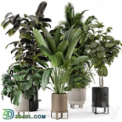 Indoor Plants in Ferm Living Bau Pot Large Set 734 3D Models 