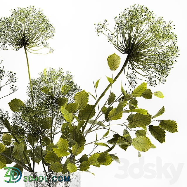 Bouquet 250. Green bouquet spring vase glass ikea hogweed branches eco design luxury decor leaves 3D Models