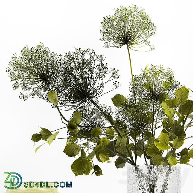 Bouquet 250. Green bouquet spring vase glass ikea hogweed branches eco design luxury decor leaves 3D Models