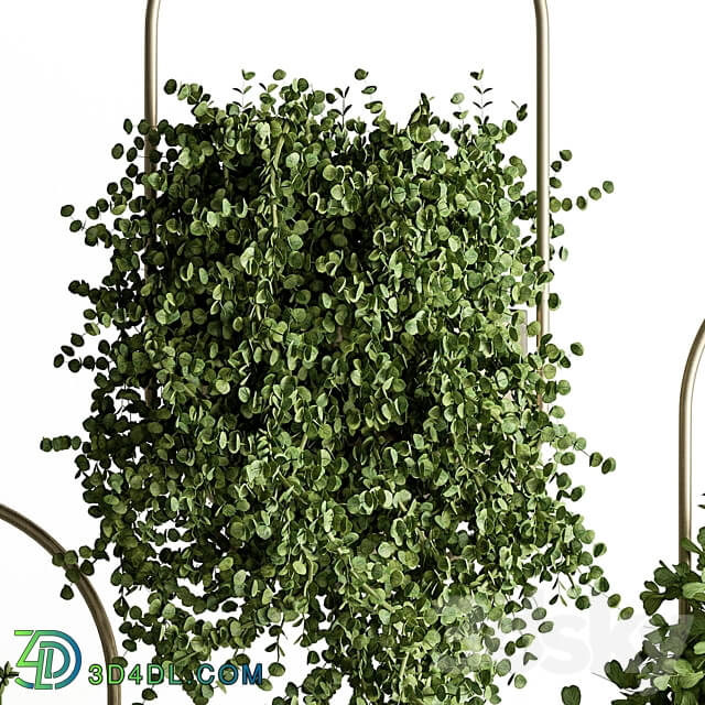 indoor Plant Set 410 Hanging Plants 3D Models