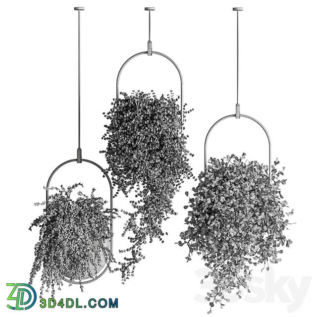 indoor Plant Set 410 Hanging Plants 3D Models