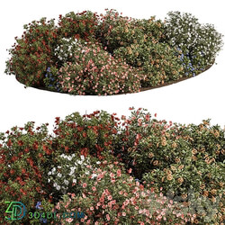 Garden colorful Flower Bush Set 452 3D Models 