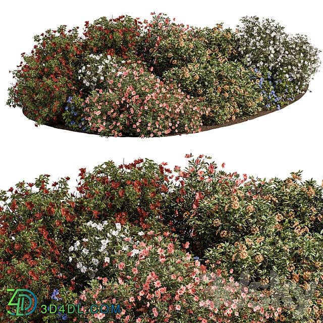 Garden colorful Flower Bush Set 452 3D Models