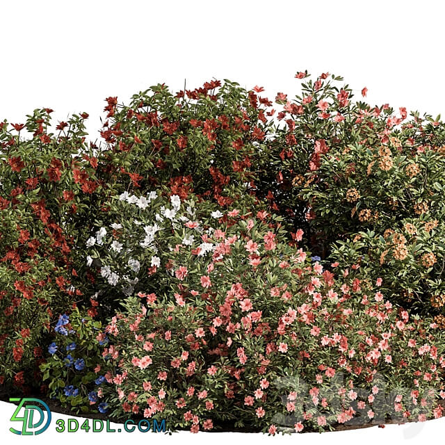 Garden colorful Flower Bush Set 452 3D Models