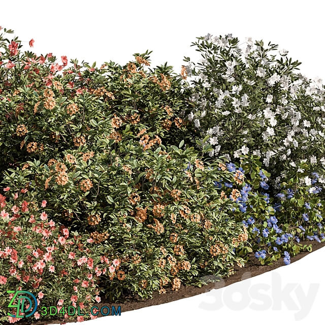 Garden colorful Flower Bush Set 452 3D Models