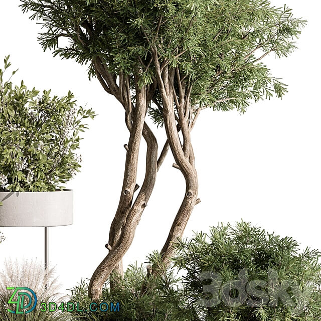 indoor Plant 433 Tree and Bush 3D Models