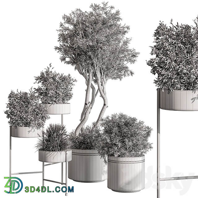 indoor Plant 433 Tree and Bush 3D Models