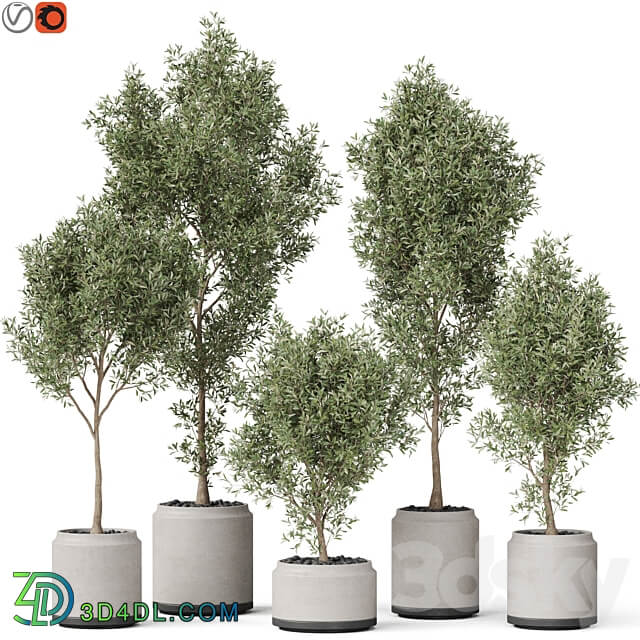 Plants collection 846 3D Models